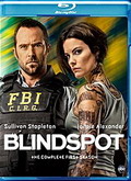 Blindspot Temporada 2 [720p]